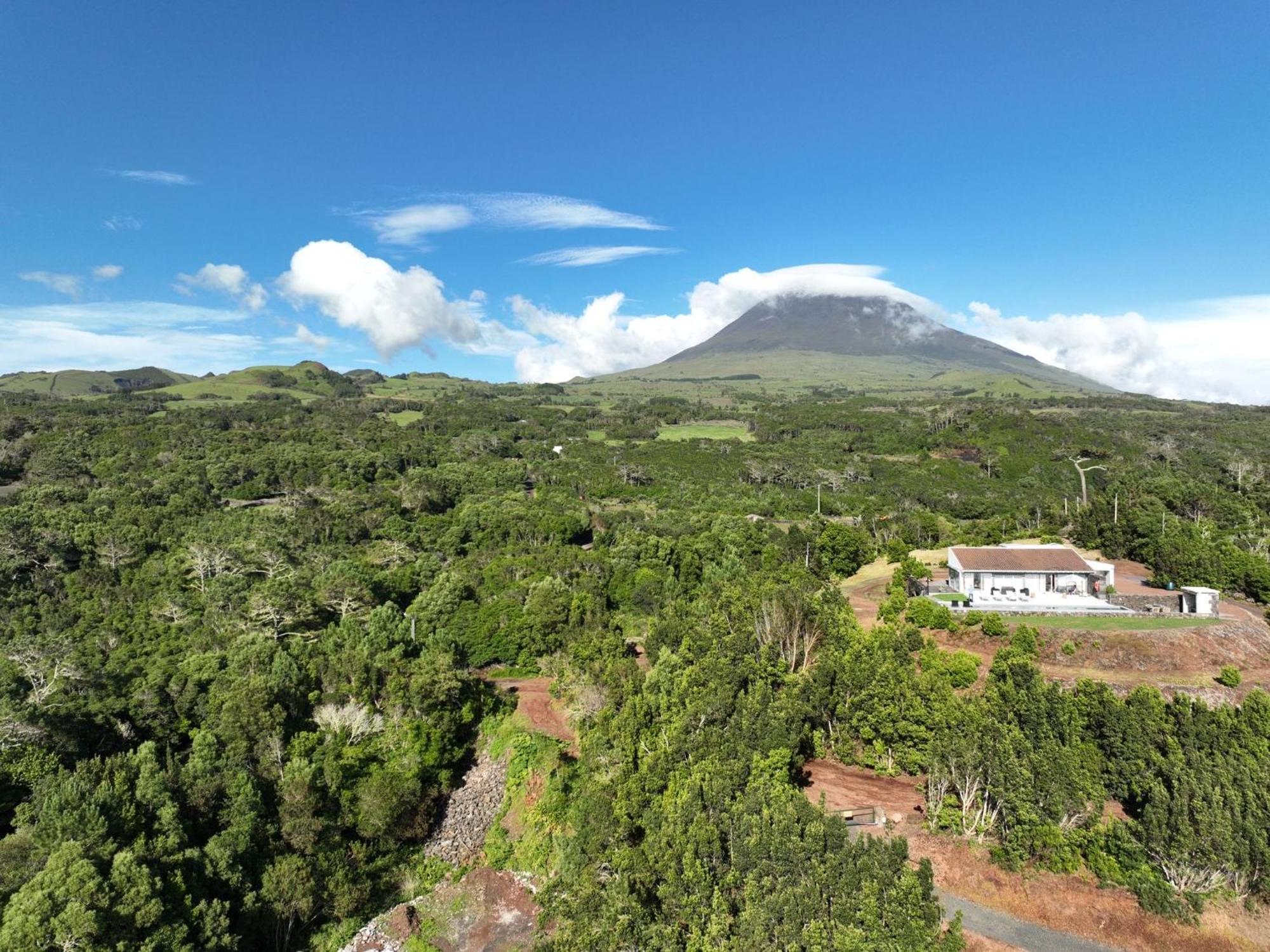 Picoterrace Villa Madalena  Exterior photo